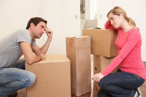 Eco-friendly moving services with a professional van